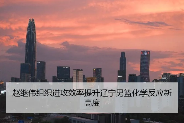 赵继伟组织进攻效率提升辽宁男篮化学反应新高度